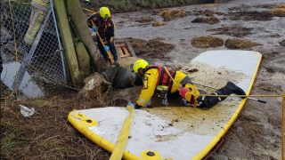 Cattle rescued following close call with slurry store