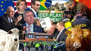 Big Read: Irish Beef Industry Review January to December 2019