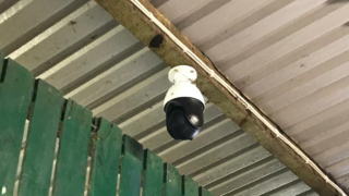 Trying to reduce the workload during springtime? Why not install a camera…