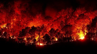 5.5 million hectares of land burnt to date in Australian wildfires