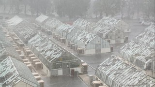 Huge hailstones batter Aussie agri research glasshouses