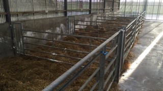 6 easy ways of reducing the workload in spring 2020