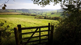 NI total income from farming figures fell by 25% in 2019