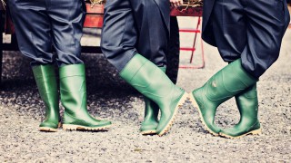 New year, new career: Check out the latest agri jobs on offer