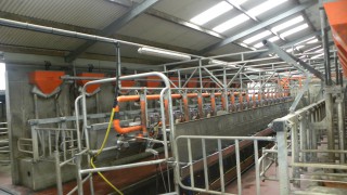 How did Northern Irish milk prices fare in December?