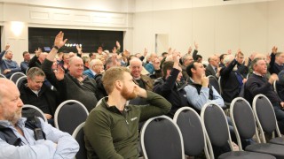 Pedigree group to propose radical TB eradication trials in Northern Ireland