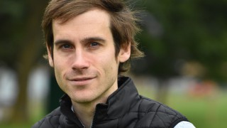 Firm export demand from China offsets weak domestic pork consumption