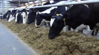 NI applications invited for this study tour to Britain