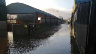 Farmers forced to evacuate 700 ewes following farm yard flooding