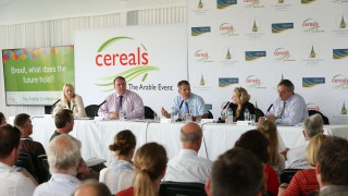 New grain marketing forum planned for Cereals 2020