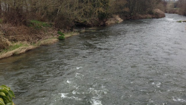 CLEDDAU DISCHARGE FIRST MILK river