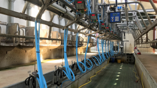 Lakeland launches ‘labour-saving booklet’ for suppliers