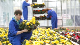 Face-to-face teaching stops at NI’s agricultural college
