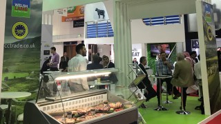 Germany and Middle East lead the way as lamb exports surge