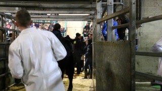 2 NI marts to close due to Covid-19 concerns