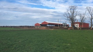 Dairy focus: Milking 300 Jersey-cross cows on a grass-based system in the US