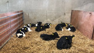 The importance of getting ventilation right this spring