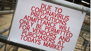 NI marts suspend operations amidst virus pandemic