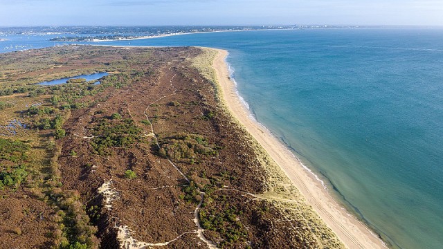 Image-source-National-Trust-John-Miller-s300_Studland_Heath_2._Credit_National_Trust_Images___John_Miller1