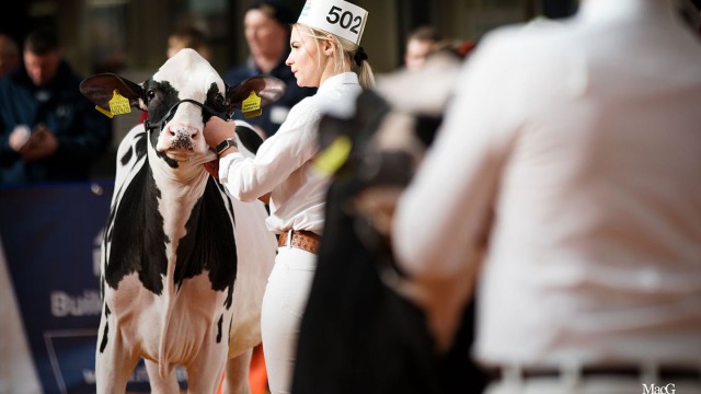 Image source: UK Dairy Expo