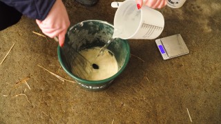 Video: How to mix milk replacer and the correct rate to feed