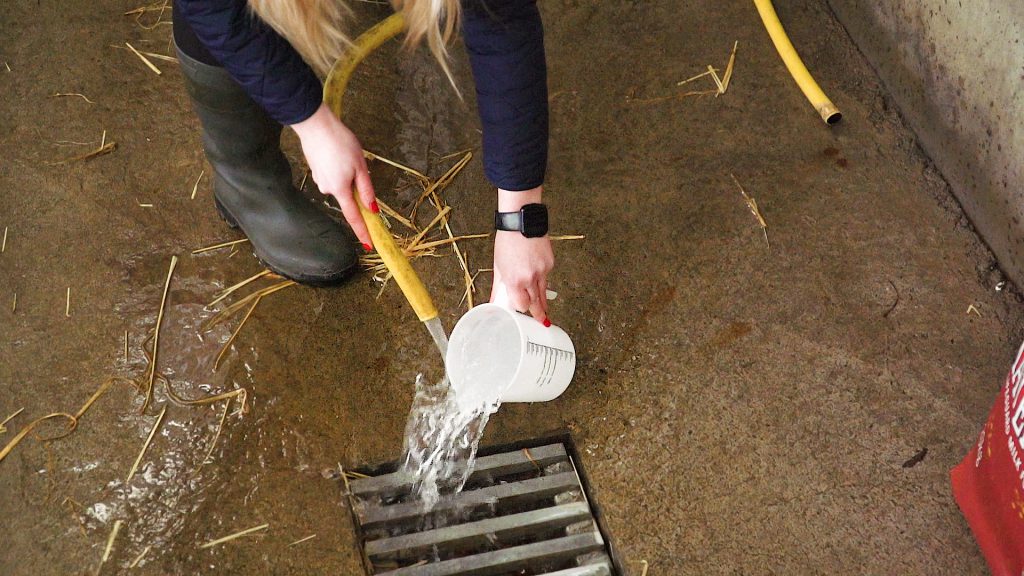 Video How To Clean Feeding Equipment Thoroughly To Avoid The Build Up Of Bacteria Agriland co uk