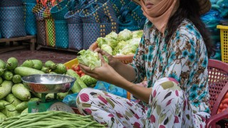 New AHDB report highlights export opportunities