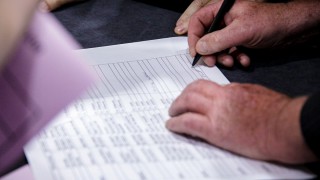 Dodds confirms NI farmers’ eligibility for self-employed scheme