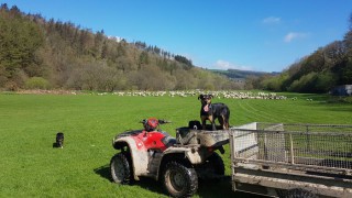 150 attend UK-based ‘digital farm walk’