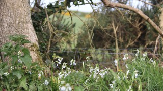 Study looking to harvest combine data to tackle field-edge yield declines