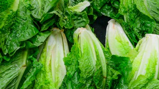 Millions of dollars’ worth of crops being destroyed in California