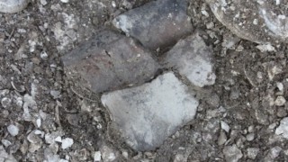 Study traces spread of early dairy farming across western Europe