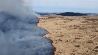 Galloway wildfire spans 15km² of gorse, grassland and forest