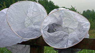 Farmers appeal for public to boycott ‘dangerous’ NHS lantern event