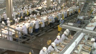 US meat giant on Covid-19: ‘The food supply chain is breaking’