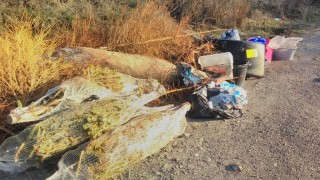 Calf choked to death on litter in Scotland as lockdown sees fly-tipping soar