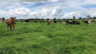 Time to put a plan in place for the breeding season…if you haven’t done so already