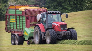 ‘Over the years, silage DM content has increased; but nutritional quality hasn’t’