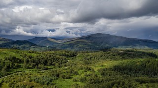 UK forestry investment market worth £121 million during 2019 – Savills report