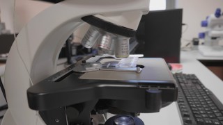 Gene-editing to be reviewed by EU in 2021