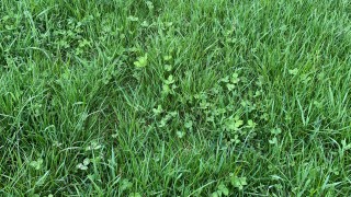 What causes bloat and how can it be avoided?