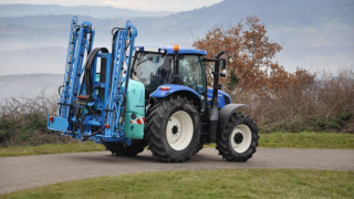 Controlling grassland weed on dairy farms – act now or pay next year