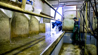 Latest GDT concludes with rise for third consecutive increase