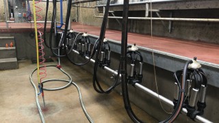 Analysis: European dairy markets continue to trend higher