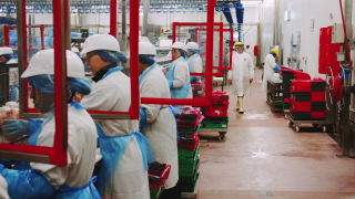 Moy Park makes £4 million investment in Covid-19 staff protection