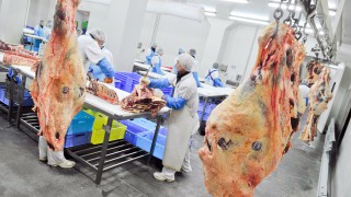 Over 1,000 employees in German meat plant test positive for Covid-19