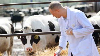 Commission grants approval for Elanco to acquire Bayer’s animal health business