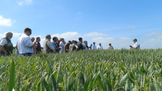 Major change on the cards for AHDB