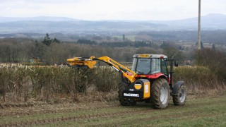 ‘Clear evidence’ required for cutting hedges during closed period