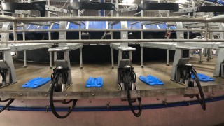 Market analysis: Butter prices continue rise…but still below pre Covid-19 levels